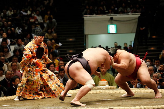 virtual_sumo01_pic01