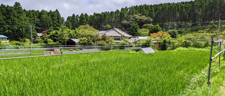 1,008田舎暮らし０１