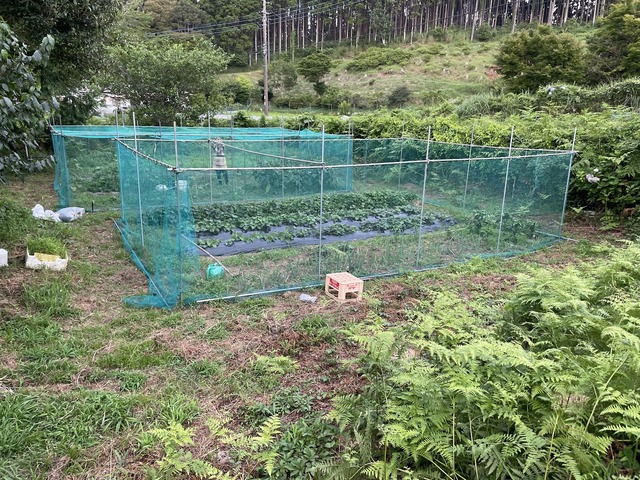 0706屋根を張る２