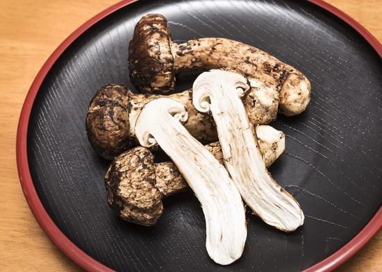 matsutake-060_TP_V4