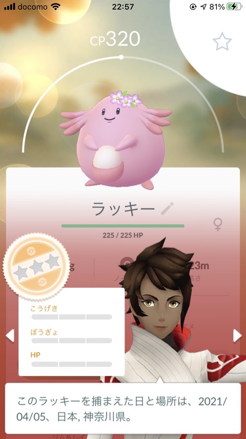 pokego_1617508735_45401