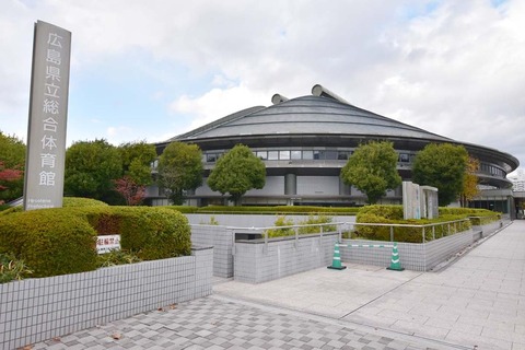 floor-green-arena-1024x683