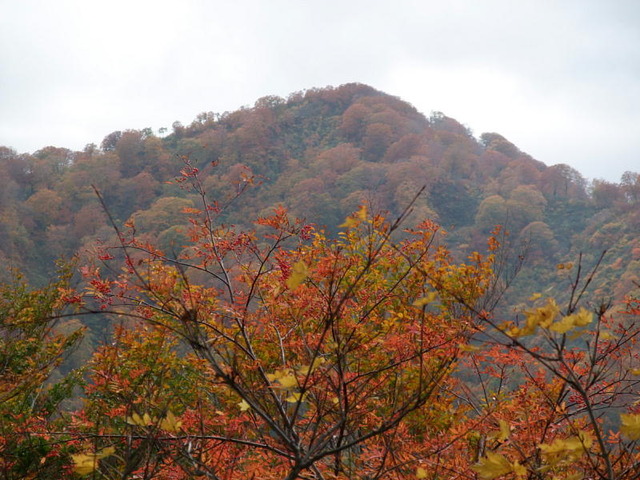 天狗岳(青森)