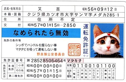 なめねこ