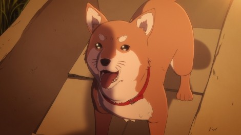 inu