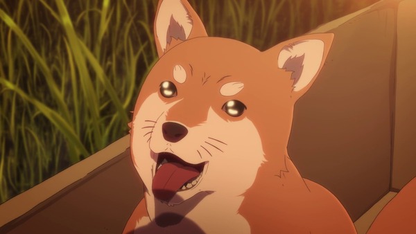 inu