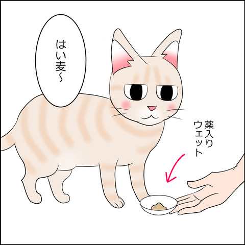 あんこ＆麦STORY2147f