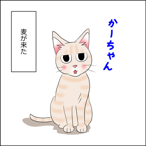 あんこ＆麦STORY2147a