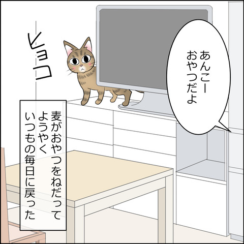 あんこ＆麦STORY2147d