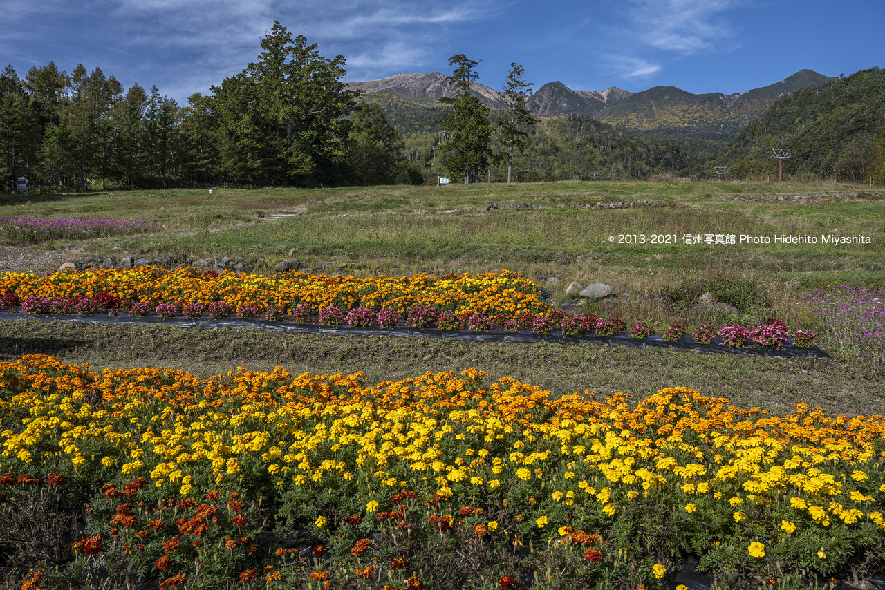 花壇と御嶽山_20210930-_DSC3026