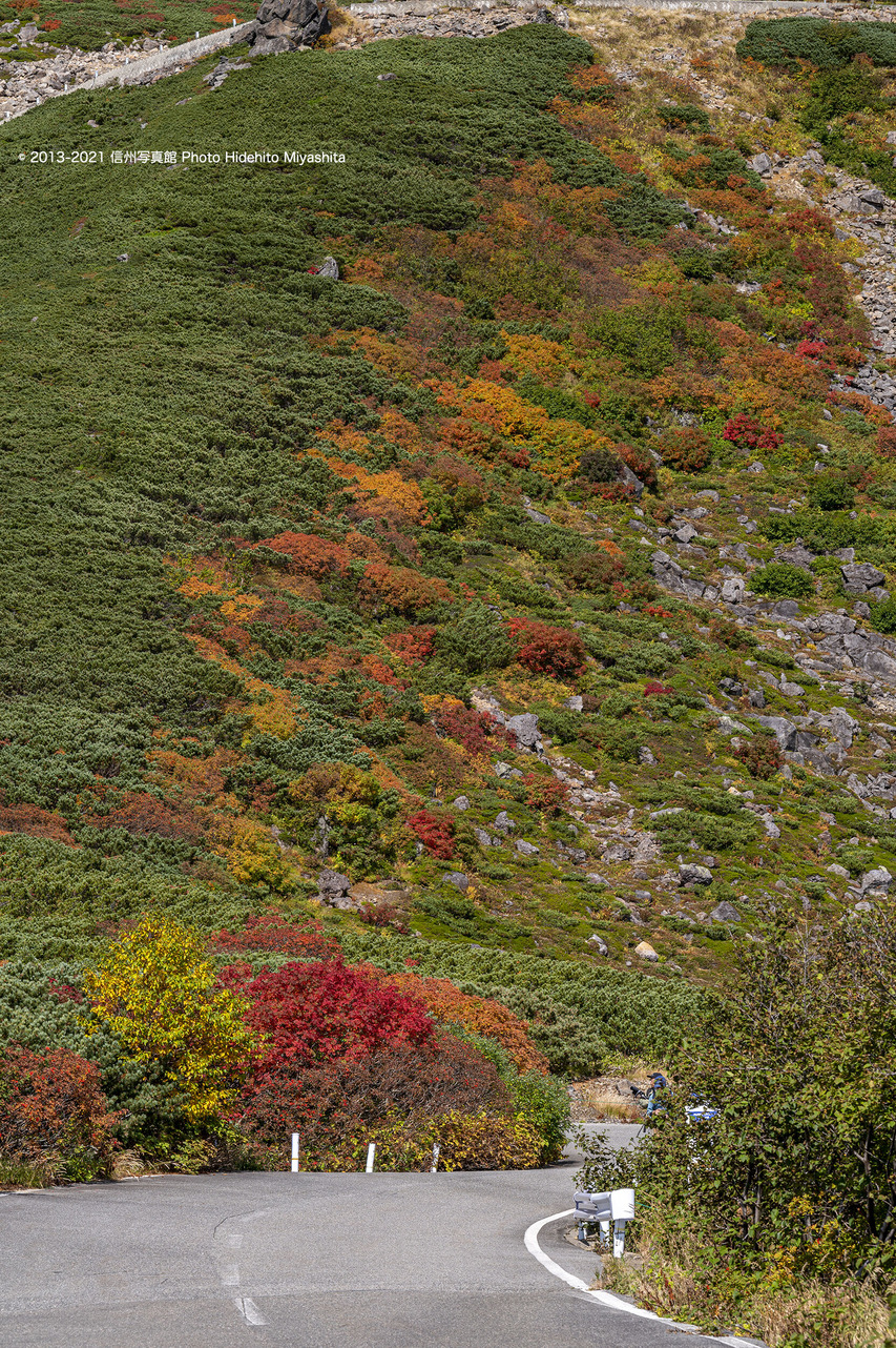 錦繍に向かって20210924-DSC_0219