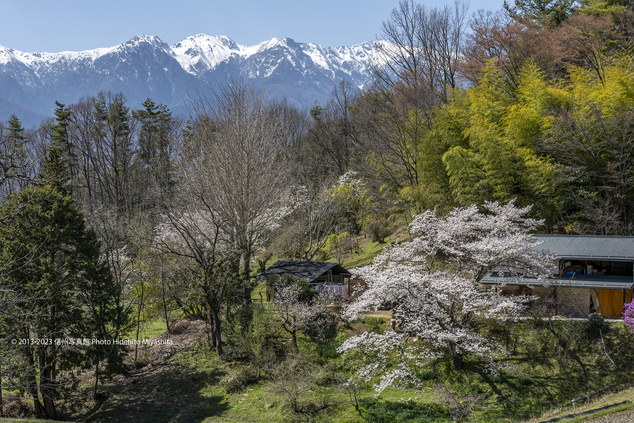 20230401-_DSC7544 のコピー