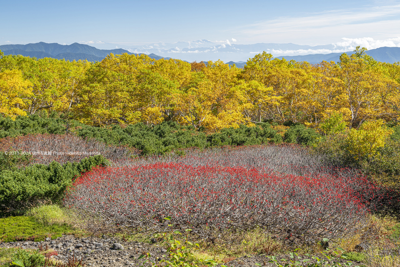 20241001-_DSC9258 のコピー