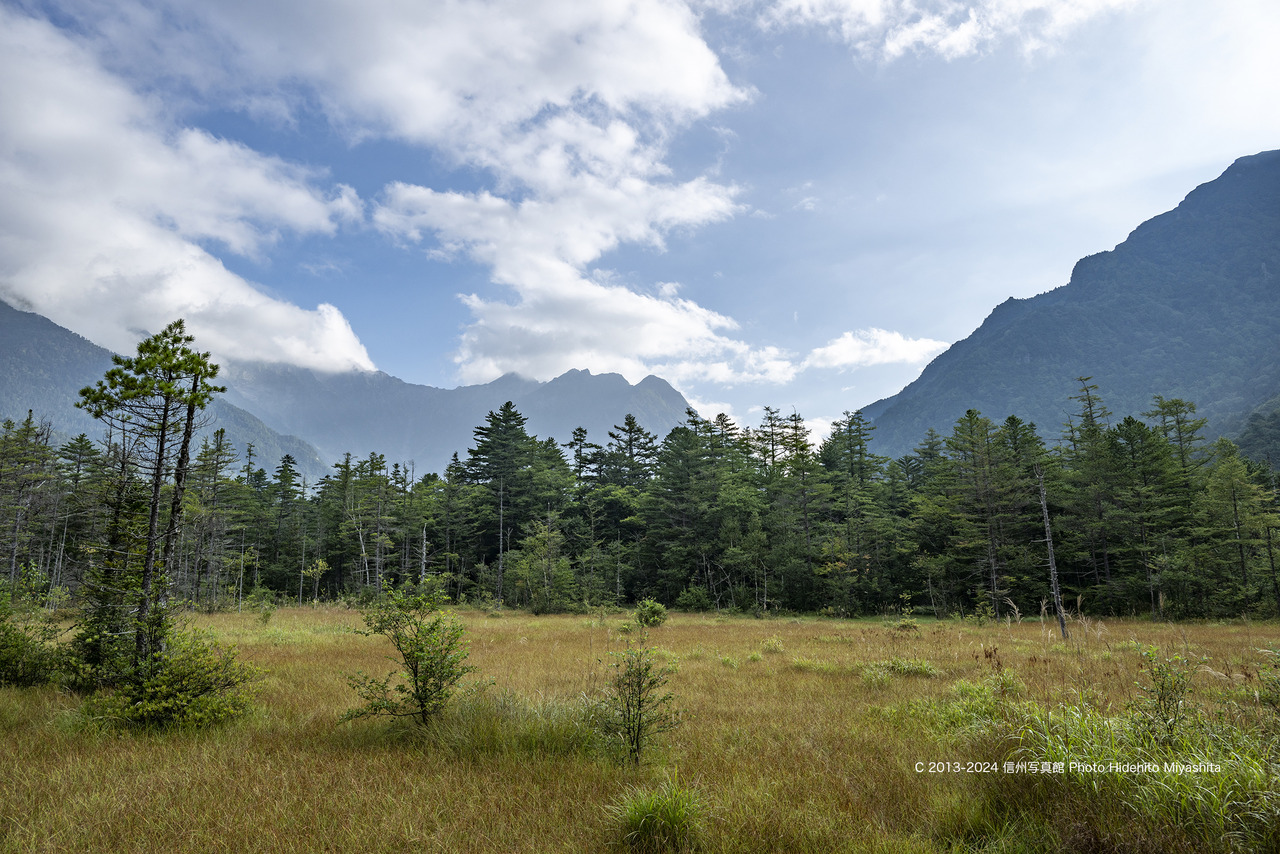 20240908-_DSC7022 のコピー