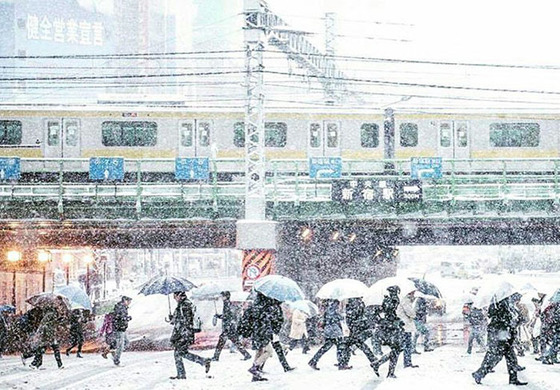 tokyo_snow_18