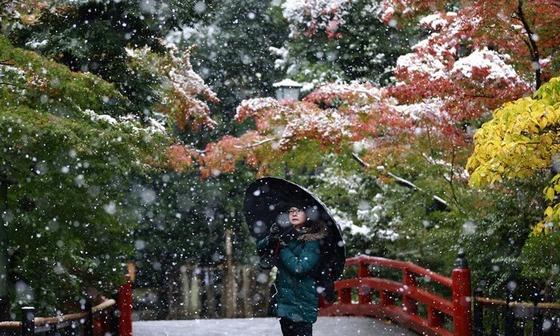 tokyo_snow_5