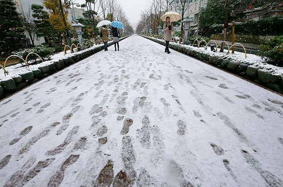 tokyo_snow_36