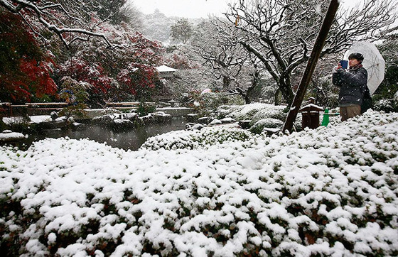 tokyo_snow_21