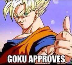 goku_approves