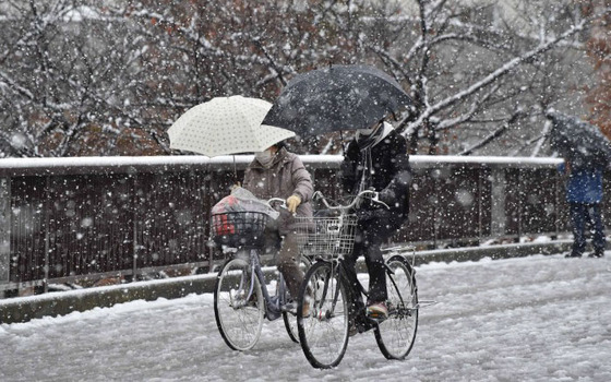 tokyo_snow_19