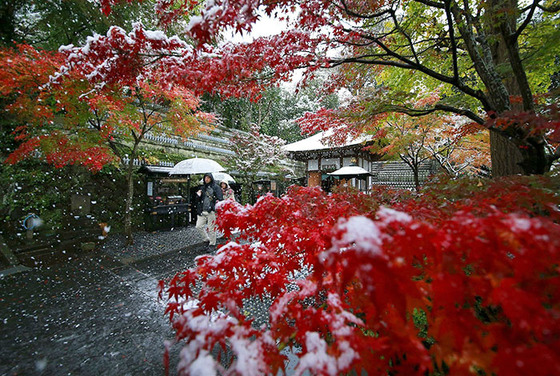 tokyo_snow_11