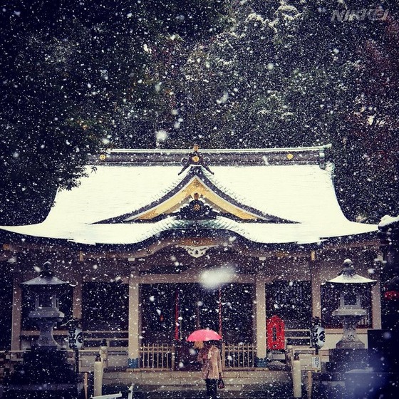 tokyo_snow_4