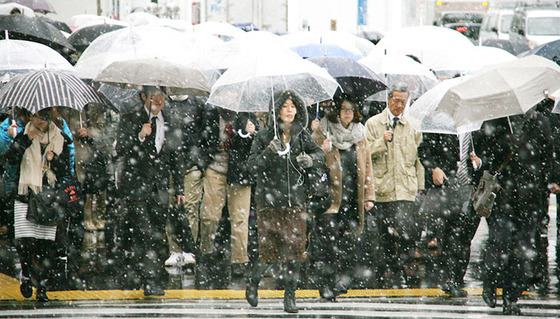 tokyo_snow_28