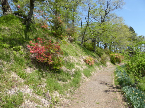 赤館城 (15)