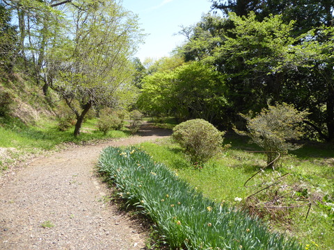 赤館城 (17)