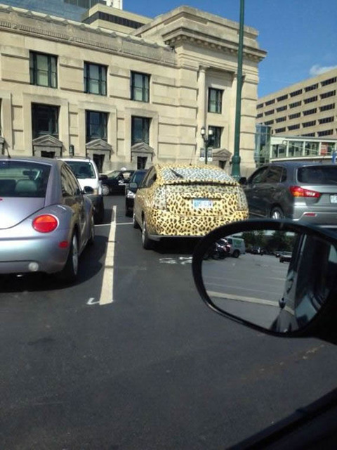 animal_prius