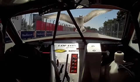 WTF Moments in Stadium SUPER Trucks (Part 2)