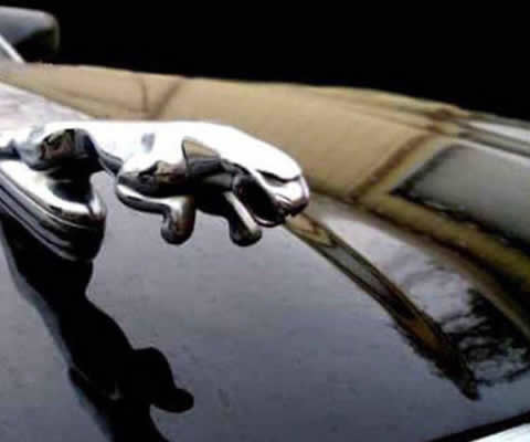 Jaguar emblem_s