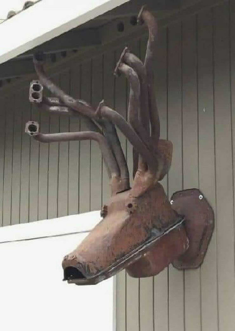 exhaust_deer