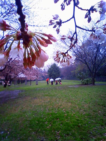 2010.03.25.jpg