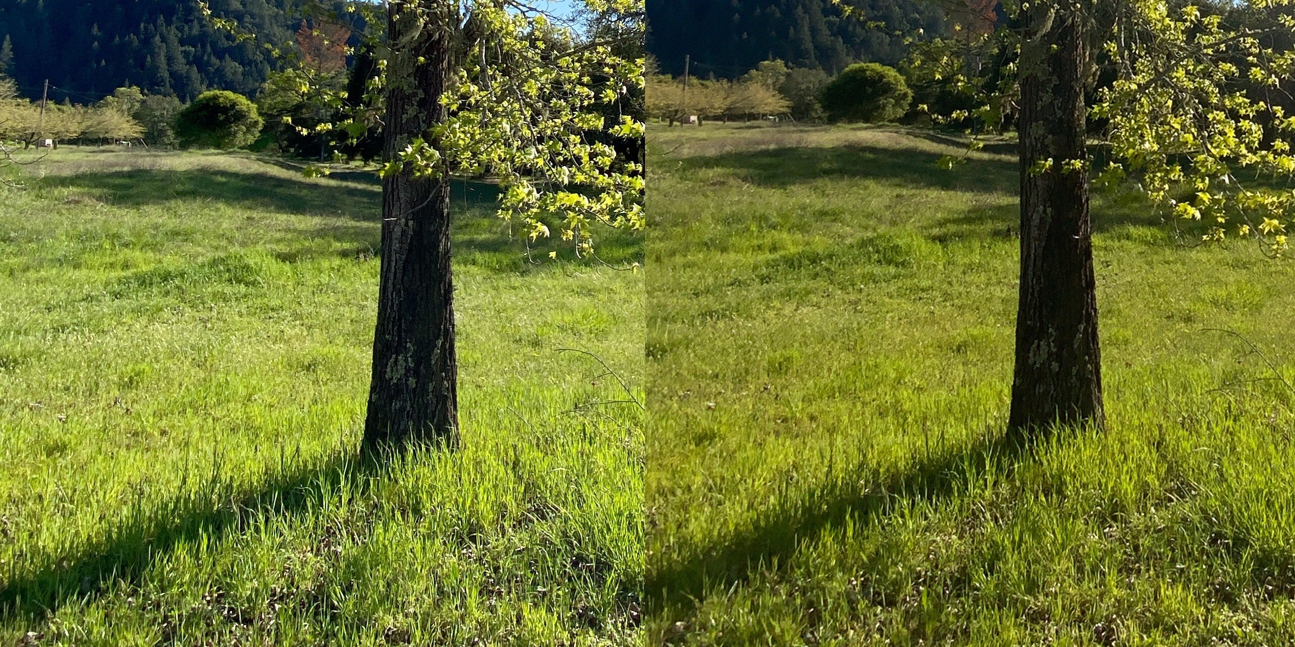 iPhone 11 Pro left, 2020 iPad Pro right. Source - Sebasitan de With - App developer analyzes 2020 iPad Pro LiDAR scanner and cameras