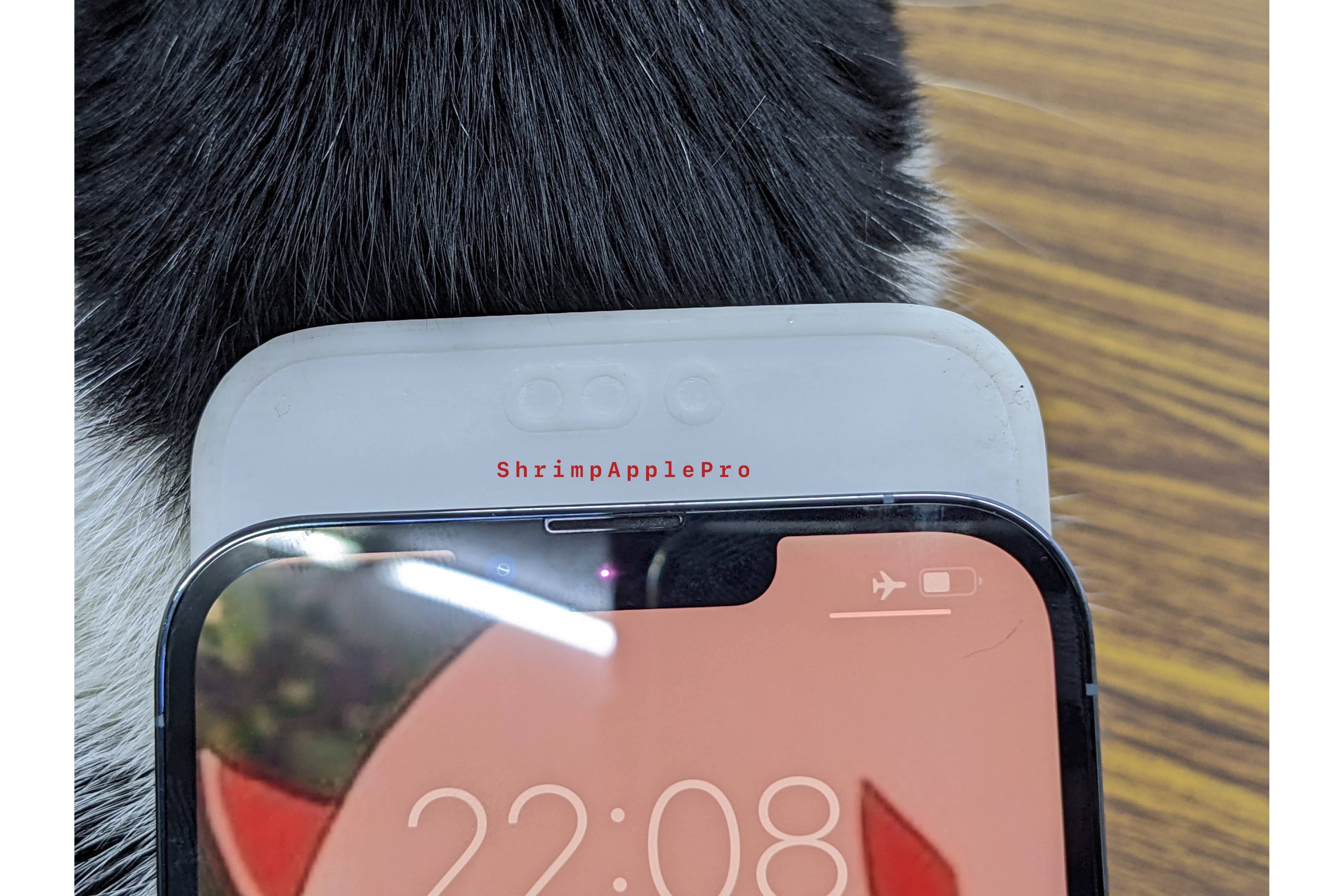 iPhone 14 Pro Max&#039;s cutouts seem to be bigger than most users would like - New dummy unit shows how big the cutouts on iPhone 14 Pro Max could be