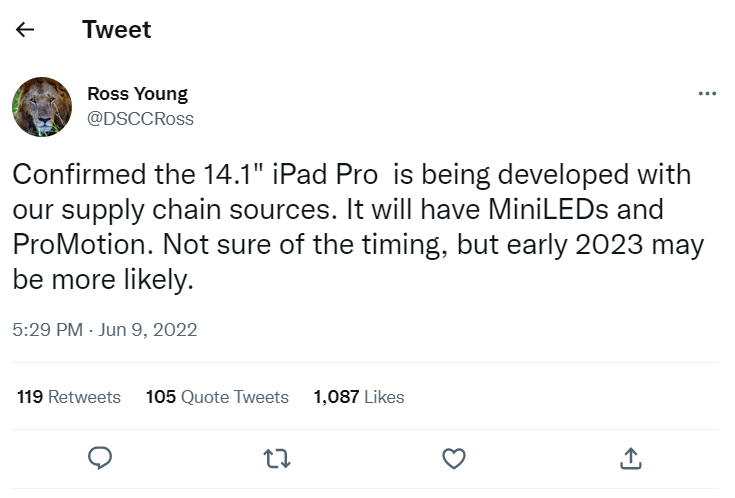 Young&#039;s original tweet from June (no longer valid) - Sorry! No 14-inch iPad anytime soon, according to industry insiders