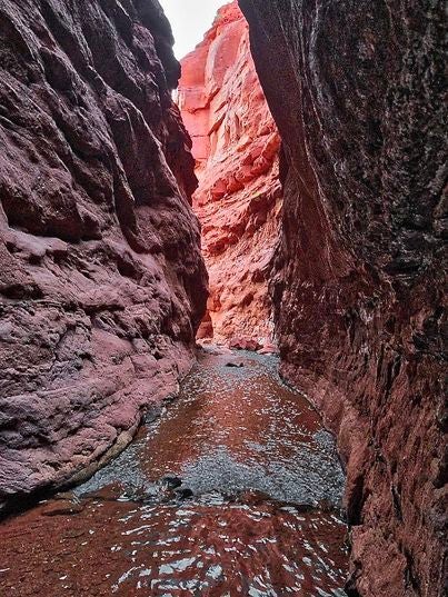 The Grand County Sheriff&#039;s Search and Rescue team saved a woman and her dog who were trapped in a canyon by a flash flood - Emergency SOS via Satellite saves a woman and her dog from flash flood