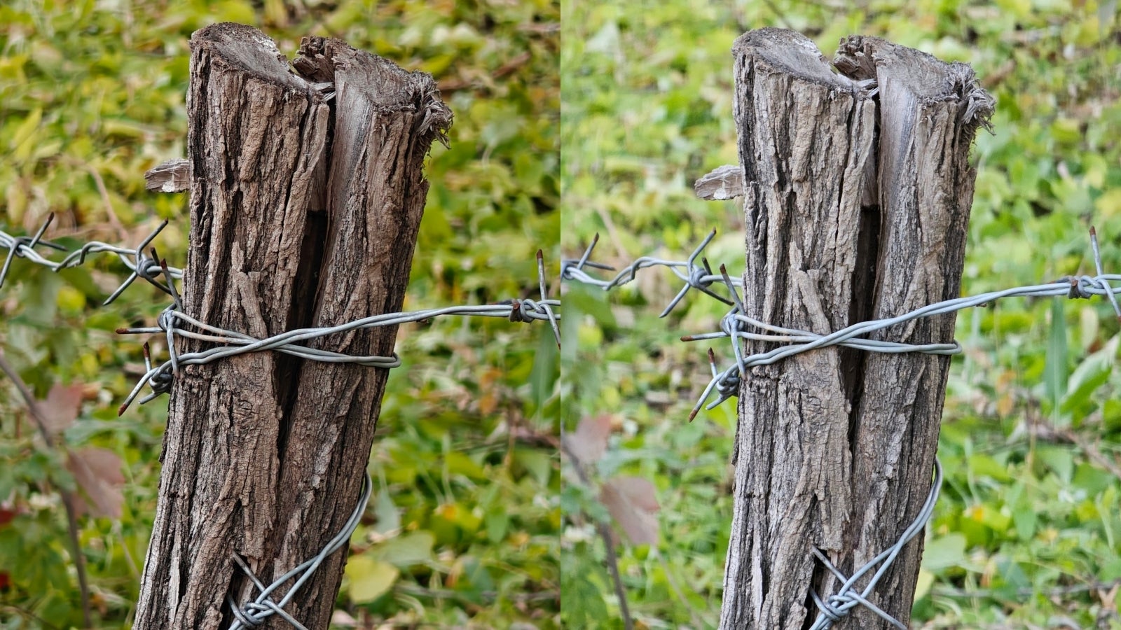 10x zoom - OnePlus Open (left), Galaxy S23 Ultra (right). OnePlus’ photo has better exposure and just as much detail as the Galaxy S23 Ultra’s shot. - OnePlus 12: Forget iPhone 15 - this is the phone Samsung and Google should fear most