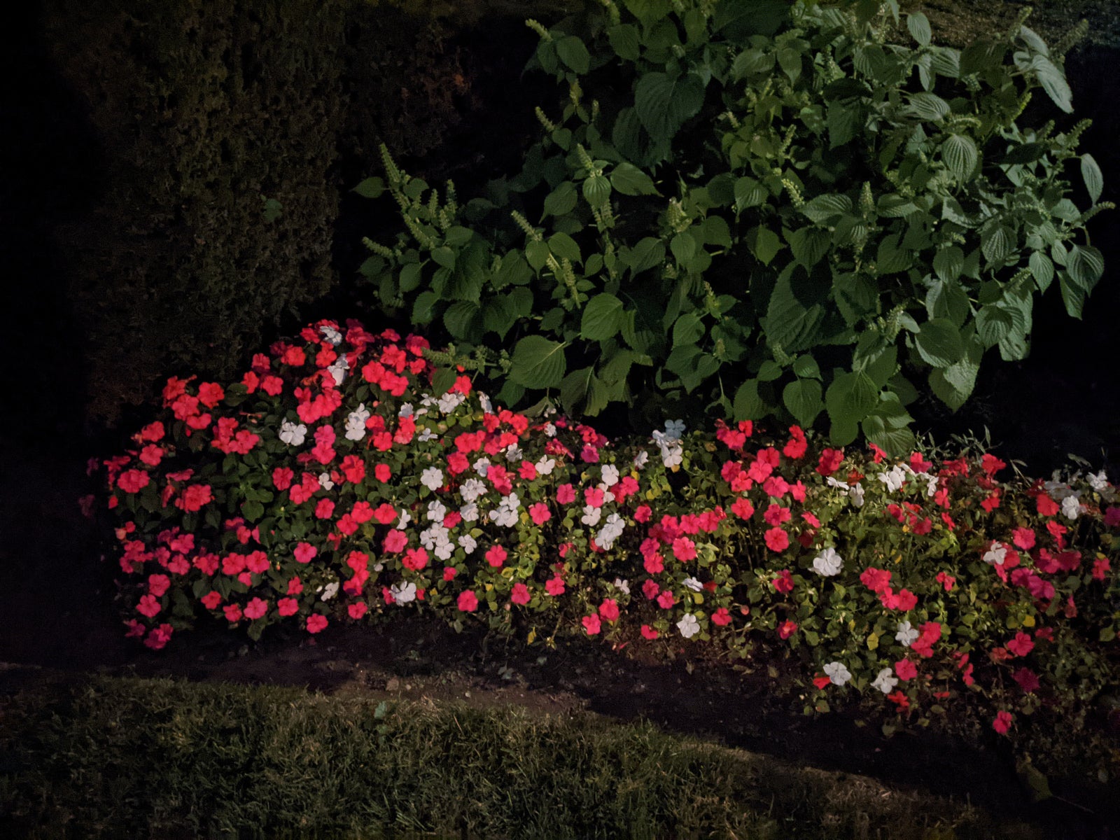 Night Sight ON - Google Pixel 5 Review: Brilliant but outshined