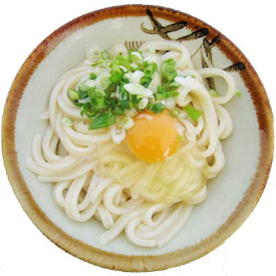 るみばあちゃんのおうどん 6食 香川県池上製麺所 さぬきうどん 生麺 手打ち 3食用×2袋 贈答品 お取り寄せ