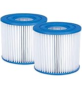 Lark Above Ground Pool (Type D) Filter Cartridge Replacement for 600 Gallon and Summer Waves Filt...