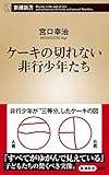 ケーキの切れない非行少年たち（新潮新書）