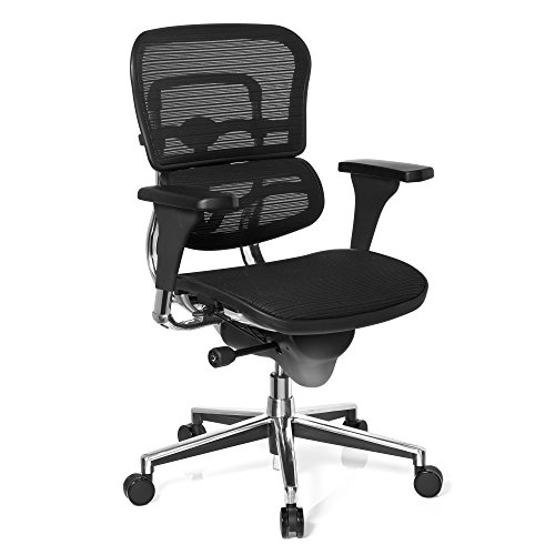 hjh OFFICE 652984 silla de oficina ERGOHUMAN BASE tejido de malla negro, amplios ajustes, sólido aluminio pulido, ergonómico