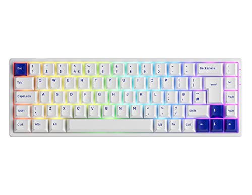 Akko 3068B Plus RGB Teclado Mecánico Gaming, 3 Modos (BT5.0/2.4Ghz/Tipo C) ISO-UK Layout Compacto Mini Keyboard con Hotswap, PBT Cherry Keycap, Programables (Azul & Blanco, Lineal Switch)