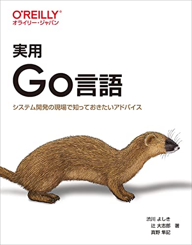 実用 Go言語 ―システム開発の現場で知っておきたいアドバイス