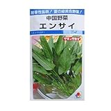 中国野菜　タキイ　エンサイ（空芯菜）　タキイの空芯菜種です