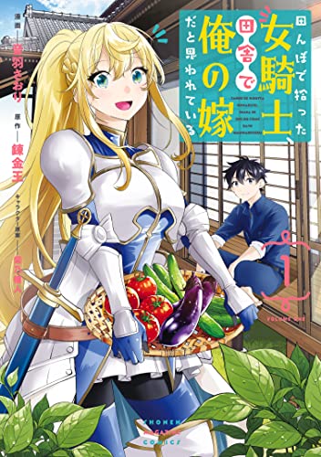 田んぼで拾った女騎士、田舎で俺の嫁だと思われている（１） (マガジンポケットコミックス)