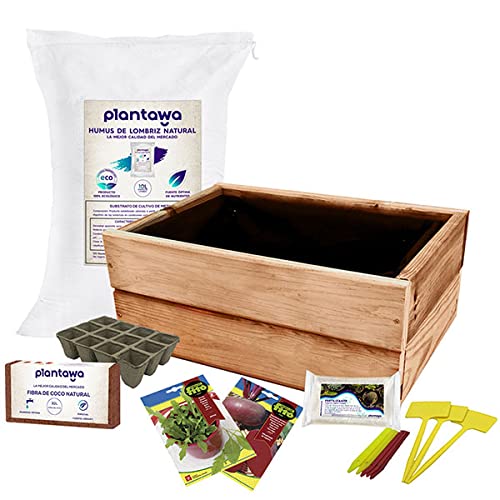 PLANTAWA Kit de Cultivo Huertano, Kit de Semillas para Huerto Urbano Interior, Siembra en Casa Jardín o Terraza, Huerta con Jardinera Remolacha y Rúcula