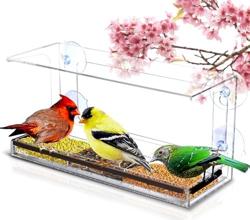 Clear Window Bird Feeder - Sturdy & Easy to Install with Strong Suction Cups-Detachable Design for Effortless Cleaning-Perfect Bird Watching by Cats, Kids & Elderly-Window Bird Feeders for Outside